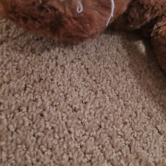GIRL SCOUT  BUILD A Thin Mint Bear COLLECTIBLE - Picture 8 of 10
